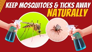 How to Make DIY Natural Mosquito & Tick Repellent