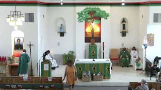 St Josephine Bakhita Gospel Mass with Father Andrew McNair