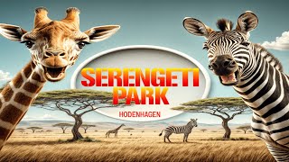 Serengeti Park Hodenhagen - Safari-Abenteuer mit dem eigenen Auto & Tangasoa Lodge Roomtour! 🦁🚗