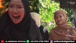 Qamaresyeh - Live Show Rantawan  Albarokah Gambus