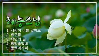 갑룡사 혜능스님 (트로트 산책)