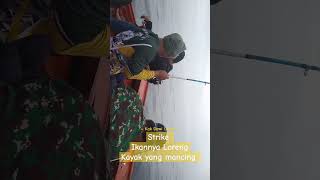 Strike Ikannya Loreng Kayak Yang Mancing #shorts