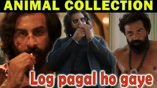 Animal Box Office Collection India | #animalmovies #animalboxofficecollection #animalreview