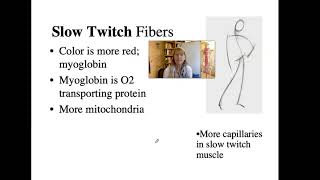 Bio4_Module 6_Ch10 Muscle part 7