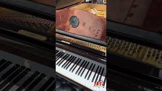 Hollywood Piano Oktoberfest (en espanol)