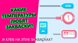 Какие температуры🌡🤩 любят закваски? При какой температуре вести заквасочное тесто?