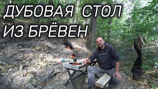 Карлос-свинья! Дикие осы. Массово гибнут раки! Дубовый гарнитур.)