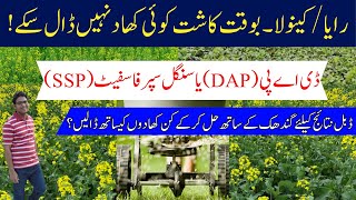 Effective Fertilization with First Irrigation for Rapeseed & Mustard | Cyber Agri Extension | رایا |