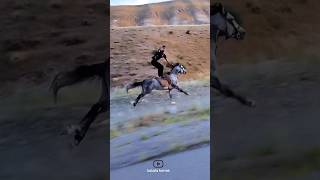 Super movement of the rider🤯|حرکت فوق العاده سوارکار🤯#animals #horse #funny #خنده #اسب #حصان