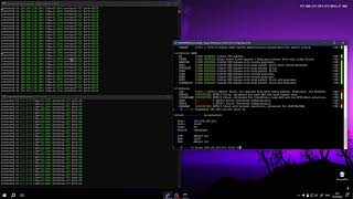 MOONRISE C2 vs FIVEM RANDOM SERVER | BEST CHEAP BOTNET C2 & API | STRESSER 2024