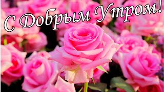 С ДОБРЫМ УТРОМ !🌼Желаю Самого Доброго Солнечного Утра!🌼  Шикарная Музыкальная открытка 🌼