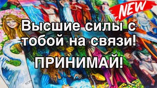 🔊СВЯЗЬ С ВЫСШИМИ СИЛАМИ: лучики добра тебе в поддержку ☀️ЛОВИ!🎈 ТАРО ОНЛАЙН #ta_kto_znaet