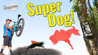 Super Dog!