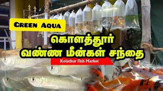 Kolathur Green Aqua Shop Review | Kolathur fish market