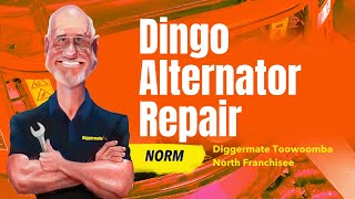 Dingo Alternator Repair at Diggermate Toowoomba North Workshop