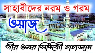 কোন সাহাবী নরম ও গরম┇Omar Siddiqui Jalsa┇পীর ওমর সিদ্দিকী┇Omar Siddiqui Waz┇Bangla Waz