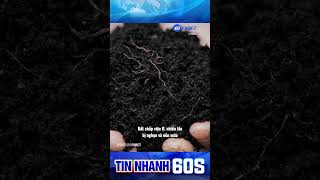 Phẫn nộ vụ nam sinh bị ép ăn đất tại Nghệ An #tintuc #nghean #new