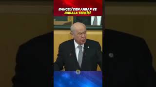 Devlet Bahçeli'den 'AHBAP' ve 'BaBaLa' tepkisi