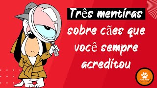 TRÊS mentiras sobre cães que você sempre acreditou