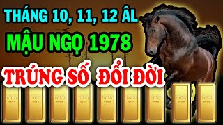 Hé Lộ Chấn Động Tuổi Mậu Ngọ 1978 Biết Được Điều Này Ắt ĐỔI ĐỜI Giàu To Tiền Về Chật Két CỰC GIÀU