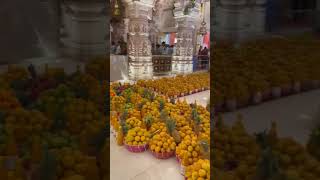 mango manorath darshan ayodhy#ayodhyarammandir #ayodhya #entho ruchira sing