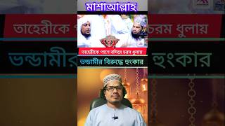 তাহেরীকে পাশে বসিয়ে ভন্ডদের উচিত জবাব | মাওলানা উসমান গণি সালেহী | তাহেরী ওয়াজ |