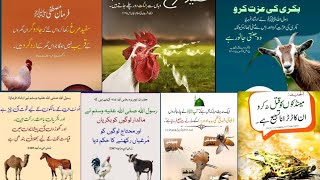 Urdu Quotes About Animals Animals Urdu Ahdes Animals Quotes Birds Quotes Mammals urdu Quotes