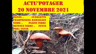 Actu potager 20NOV21