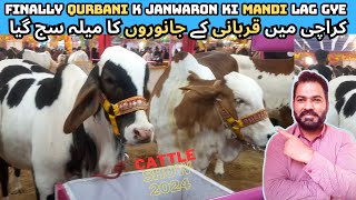 Cow Mandi Karachi 2024 || Maweshi Mandi || Karachi Ma Janwaron Ka Mela Saj Gya || Cattle Farm 2024