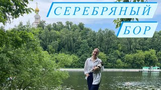 VLOG | Серебряный бор 🌳