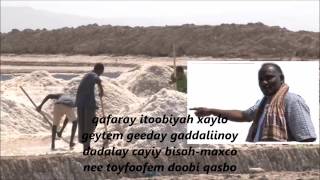 HASSAN PILOTE GADA/ NEE TAYFOOFEM DOOBI QASBO