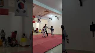 mi torneo de taekwondo