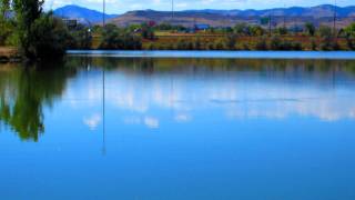 Turtle and Elph Zoom at Ward Road Ponds 9-25-11