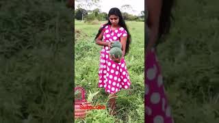 Beautifull village girl / village cooking channel / #shorts