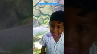 Lokaranjan aqua world, Mysore #ytshorts #travel #trending #foryou #shortsfeed