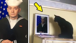 Black Cat Kept Staring At Marine Son’s Photo   What Happens Next Went Completely Viral!