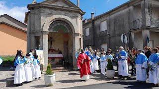 Processione delle Palme 24-03-2024 Simbario (VV)