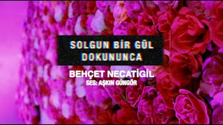 Solgun Bir Gül Dokununca | Behçet Necatigil [şiir]