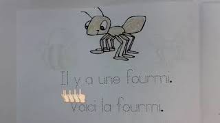 Mon livre des insectes