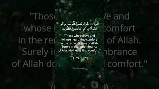 #shortsvideo #allah  #islamicshorts  #islamicvideo #holyquran #muslimandquranpro