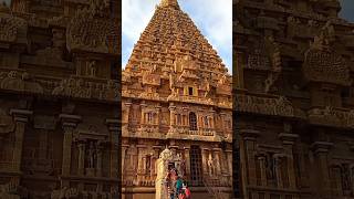 Thanjai Periya Kovil | #shorts #youtubeshorts @selvasekar2694