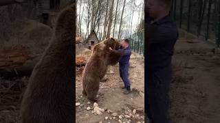 ভাল্লুক কতটা চালাক দেখুন! Intelligent Bear #bear #shorts #viral