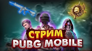 СТРИМ ПО PUBG MOBILE. качаю ранг