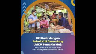 Total KUR BRI di Sektor Produksi #BRIkemudahanUMKM #5TahunET #BriliandanCemerlang #qrisbri