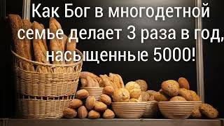 Как Бог в многодетной семье делает насыщенные 5000