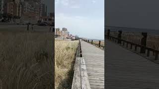 povoa de varzim wood brigh #shorts #youtubeshort #beach #somghale