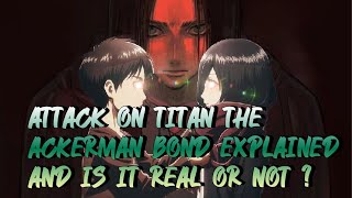 Attack on Titan The Ackerman Bond Explained | Is It Real or Fake ?