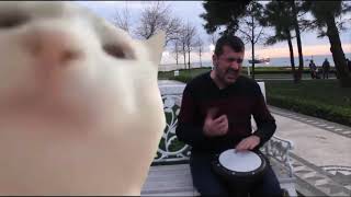 Cat meme| Street drummer ievan polkka (Official video Full HD and Full video)