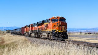 Railfanning Compilation - MRL, Amtrak, CSX Special Interest Moves, and More!