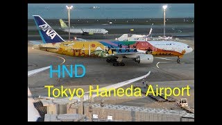 Plane Spotting *Tokyo HANEDA In’l Airport (HND)T2(27/Oct/2019) Incl. Liveries